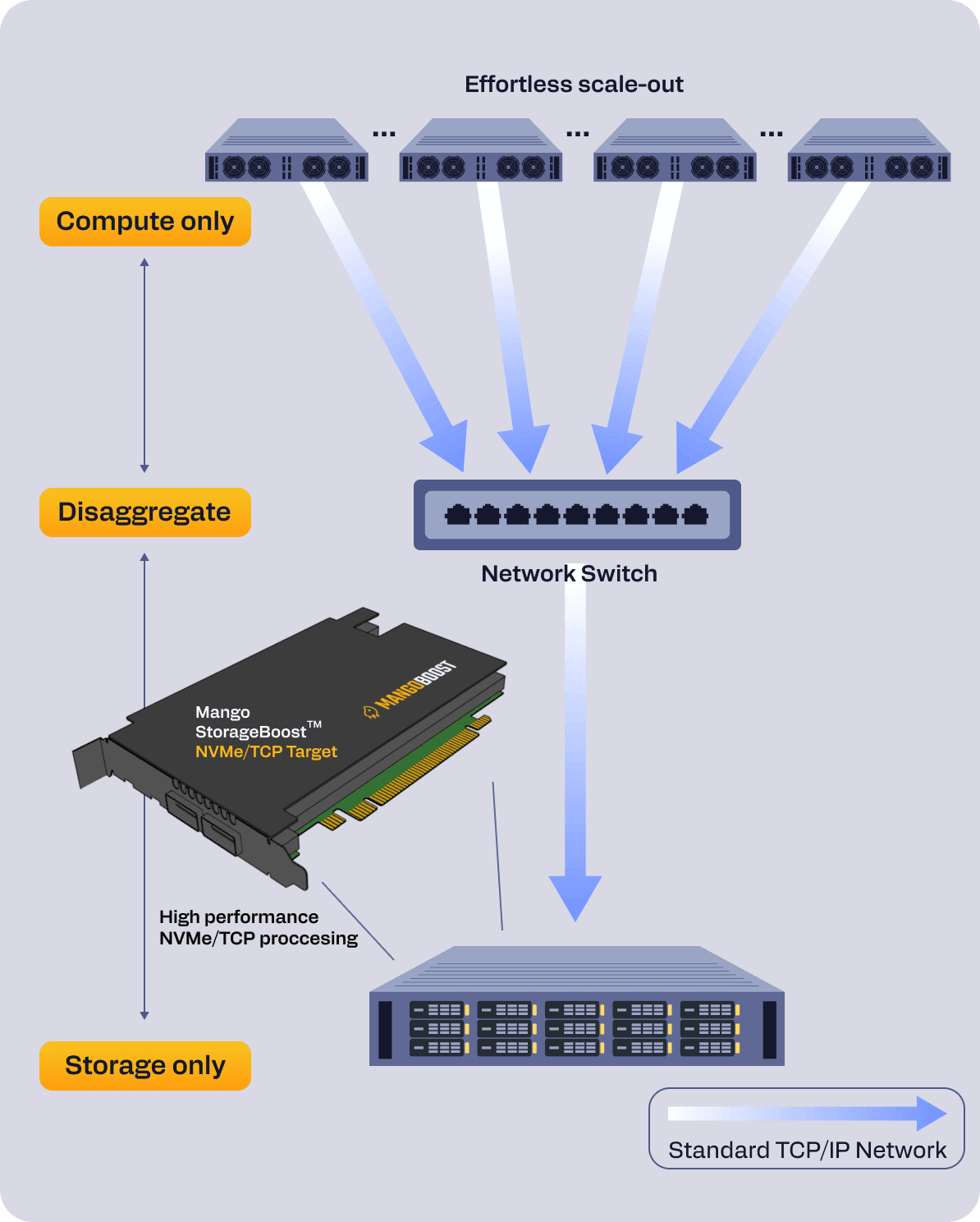 ntt fast fact image